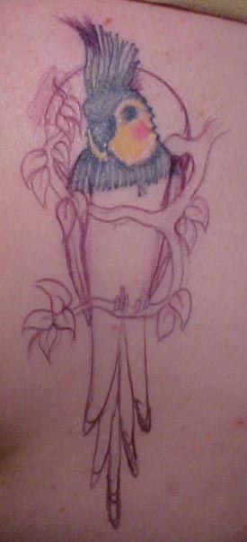 Dave's design to finish my bird.