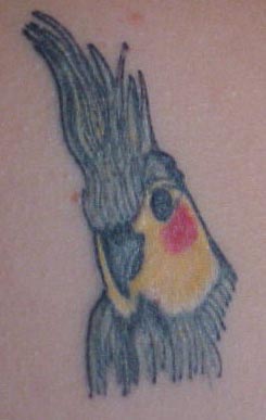 small cockatoo tattoos