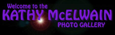 Welcome to Kathy McElwain Photography